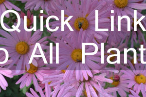 Button for Quick Link to All Plants