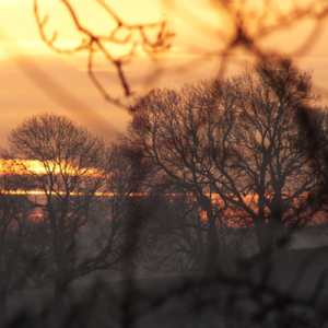frosty sunrise