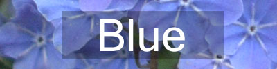 Colours-Blue