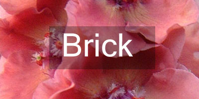 Colours-Brick