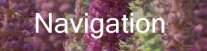 Header for Navigation Sidebar