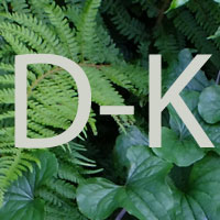 D-K
