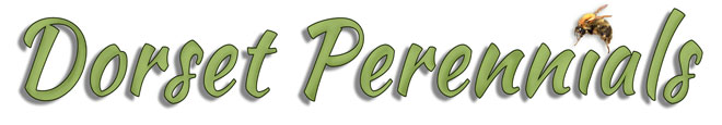 Dorset Perennials Logo